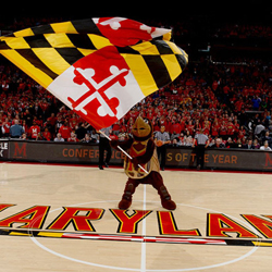 Maryland Sports Betting on Track for Fall Launch