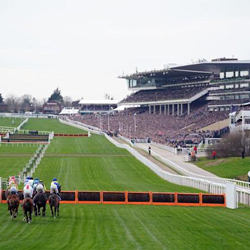 Bookie Expects Over £1 Billion Wagered at Cheltenham Festival